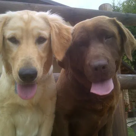 'l Ramassin Bed and breakfast 3*