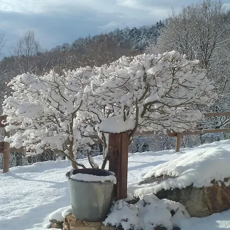拉玛辛住宿加早餐旅馆 * Busca