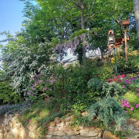 Bed and breakfast 'l Ramassin Busca