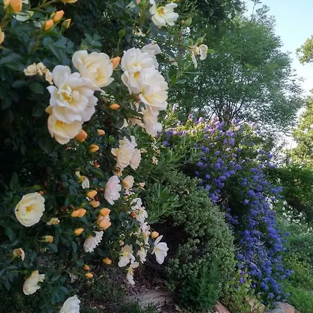 Bed & Breakfast 'l Ramassin