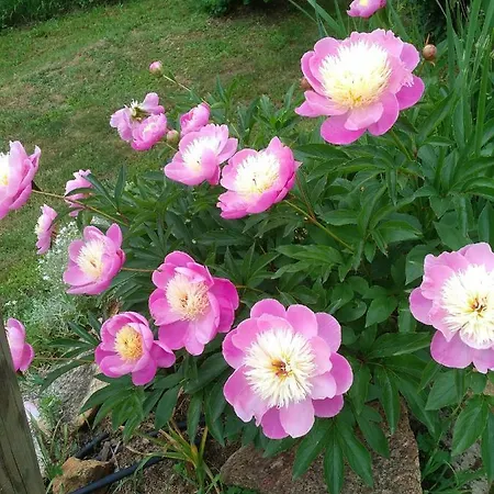 'l Ramassin Bed and breakfast